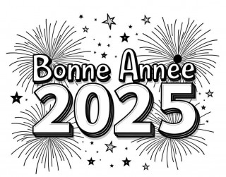 Image de l'actu 'Bonne année 2025'